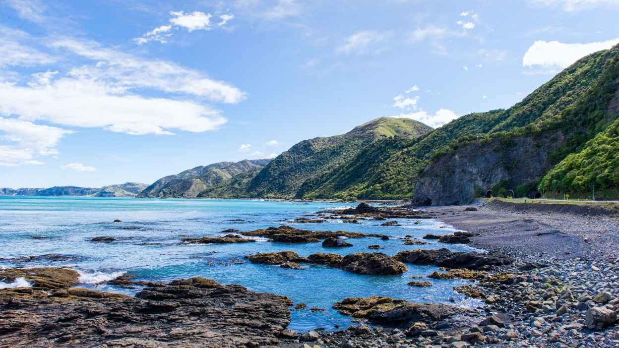 KAIKOURA.jpg