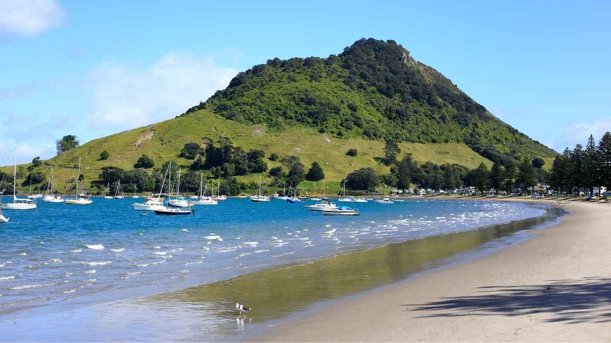 Tauranga.jpg