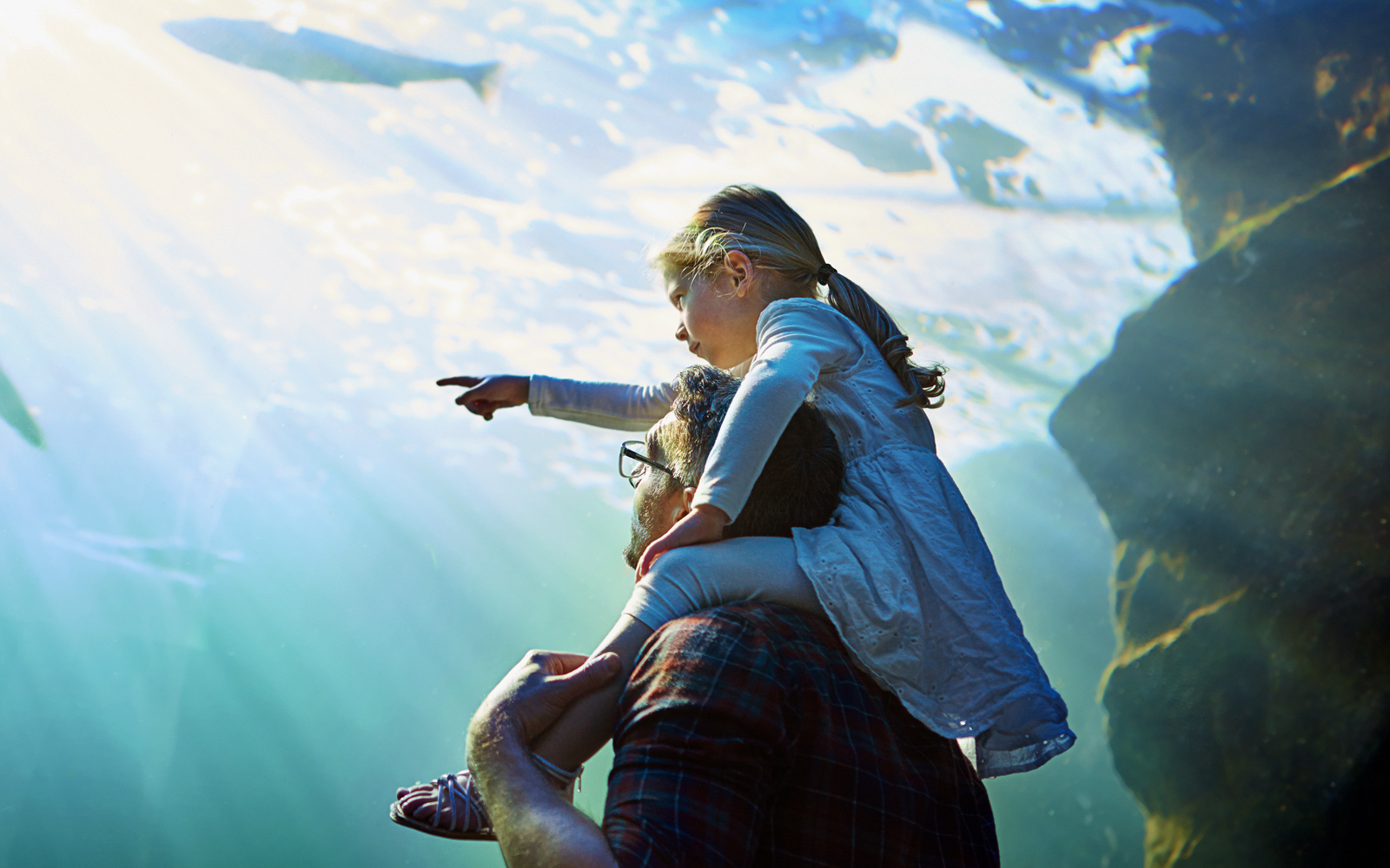 Best Specials in Reykjavik | TickYourList