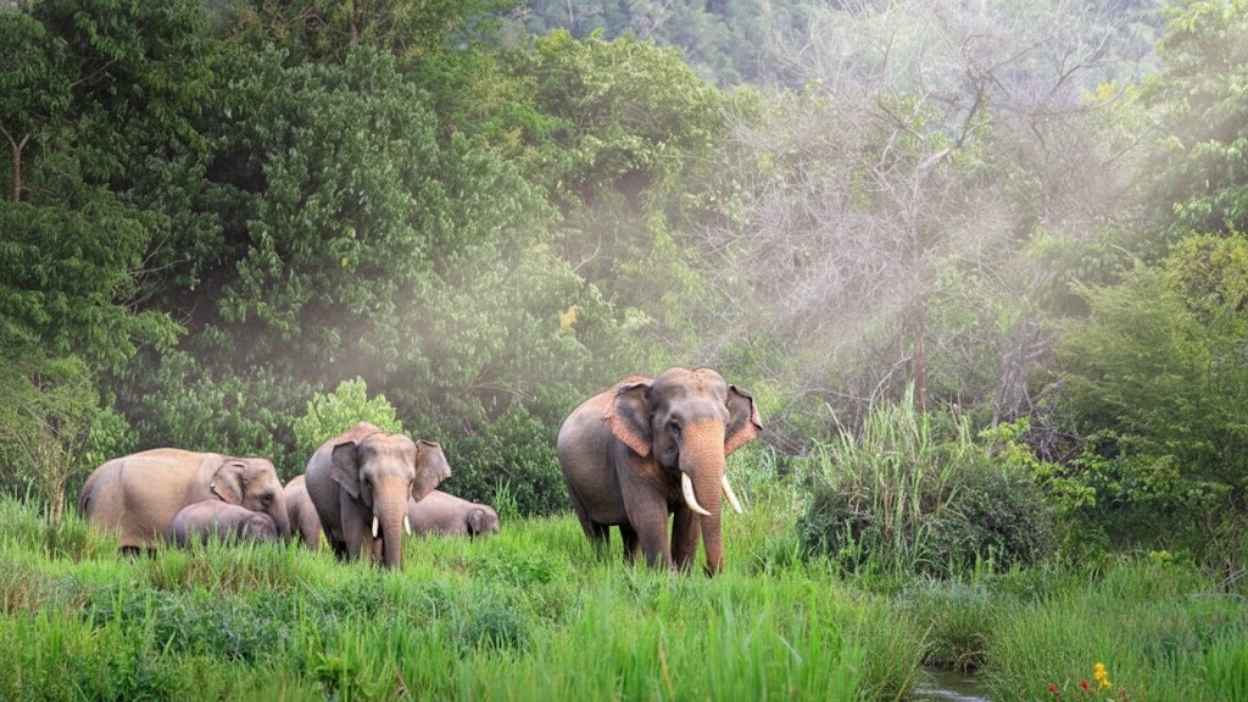 Nature & Wildlife-Nature & Wildlife.jpg