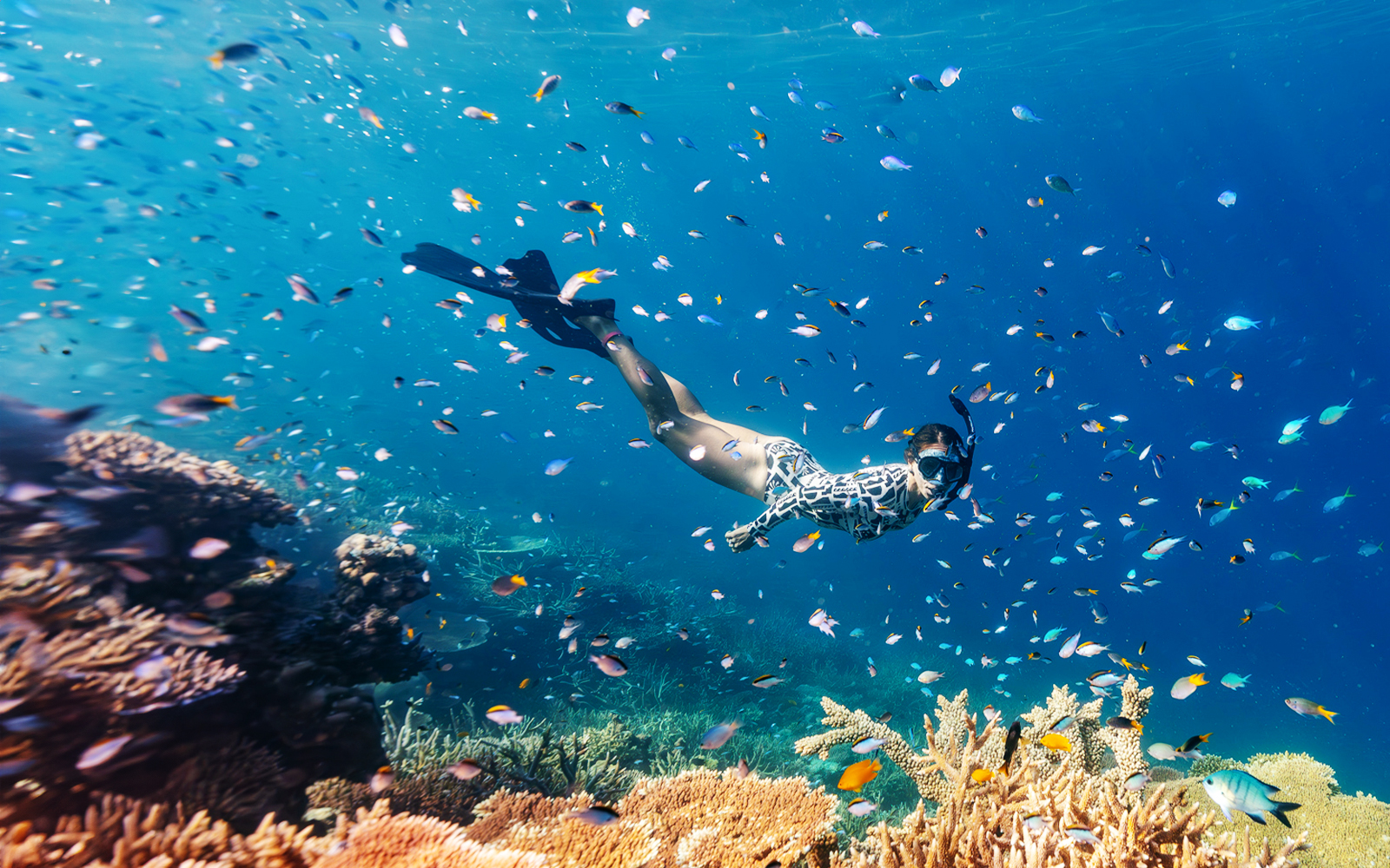Snorkeling in Dubrovnik | TickYourList