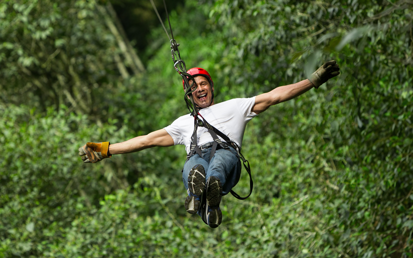 Ziplining Tickets in Waitomo | TickYourList