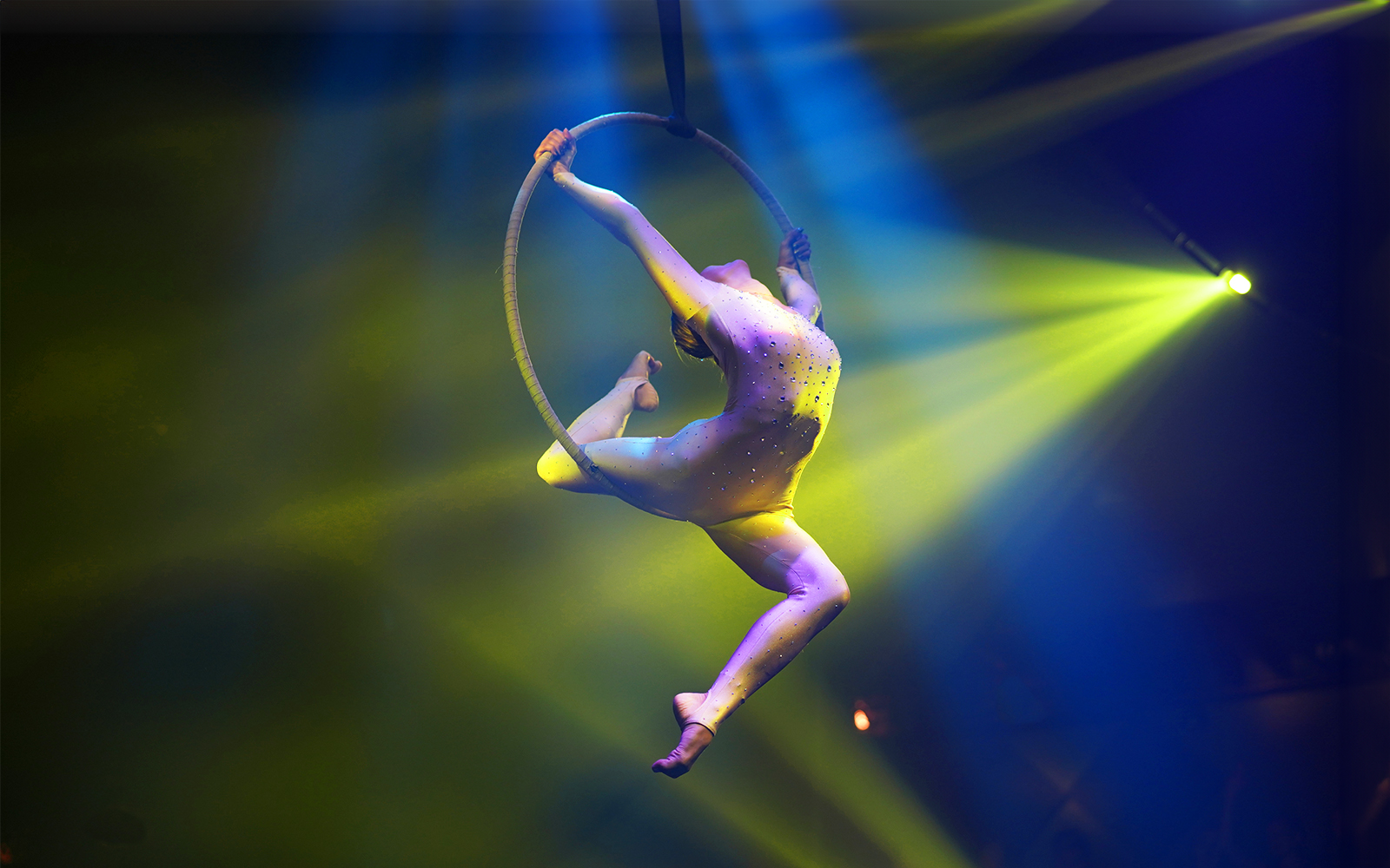 Circus Shows in Orlando | TickYourList