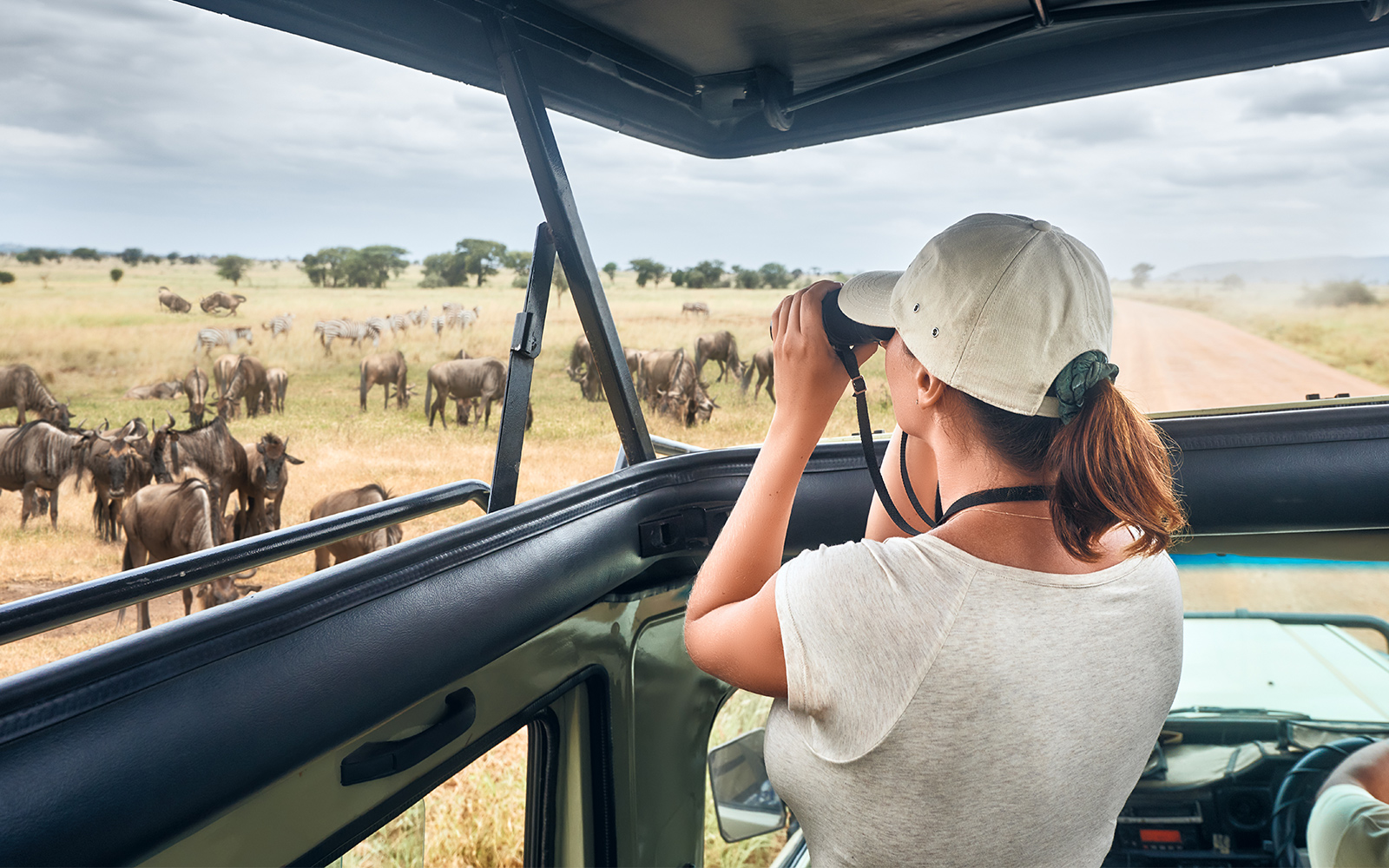 Safari Tours in Phuket | TickYourList