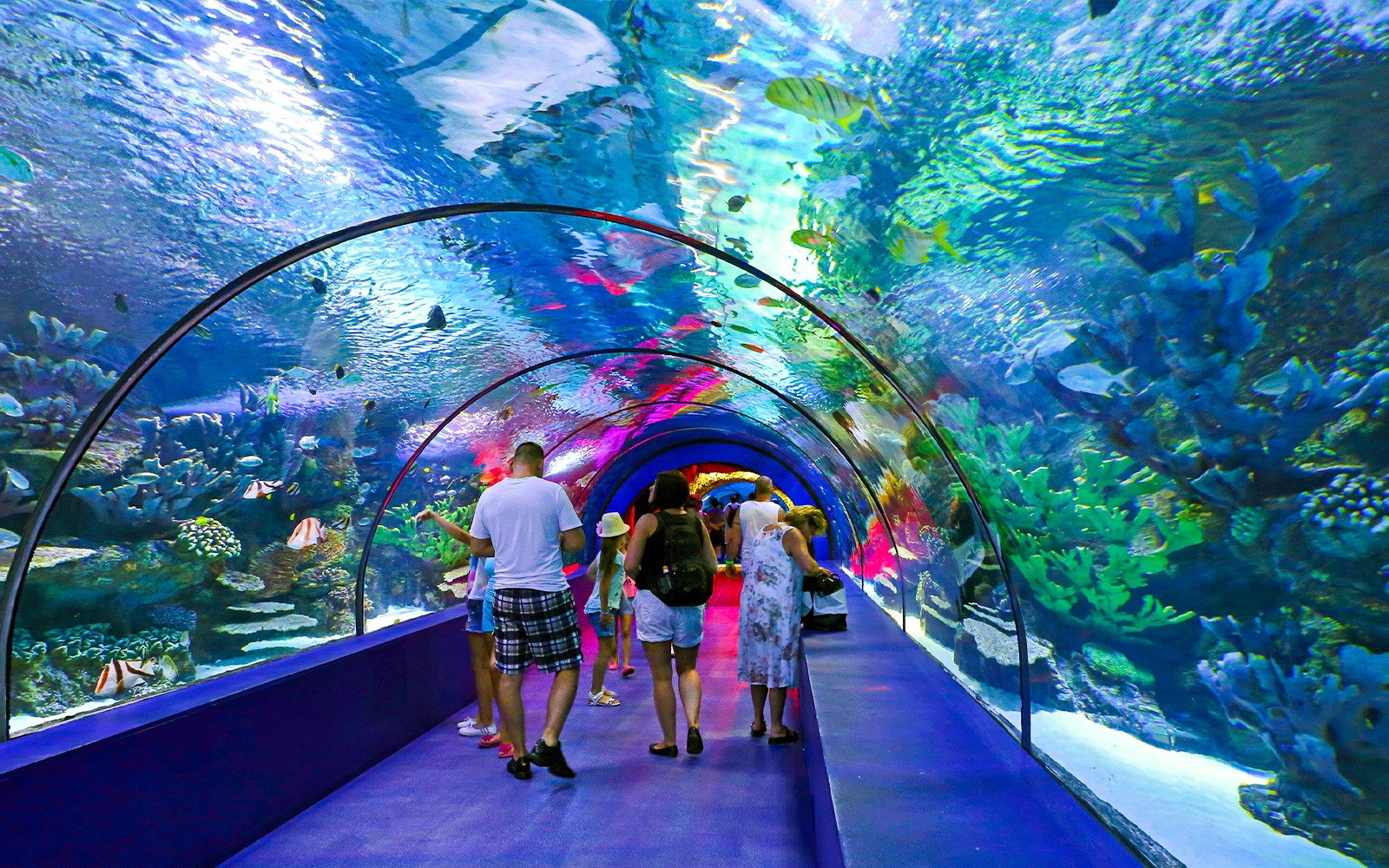 Aquariums in Pattaya | TickYourList