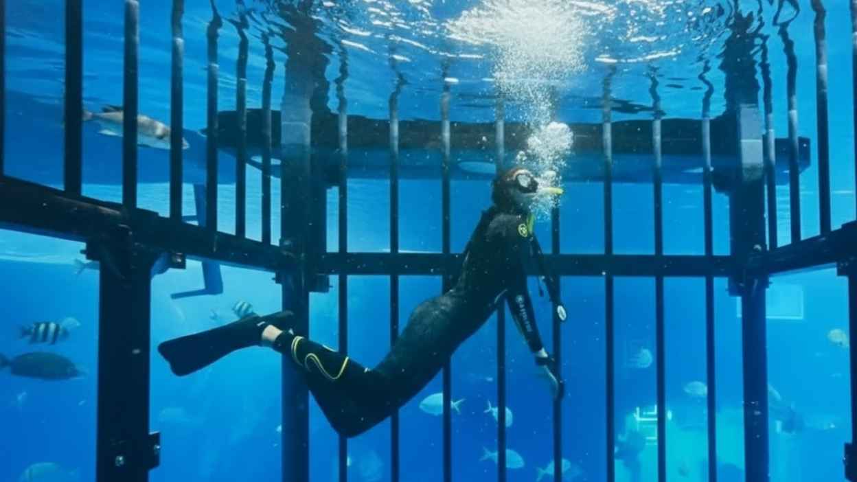 Snorkeling.jpg