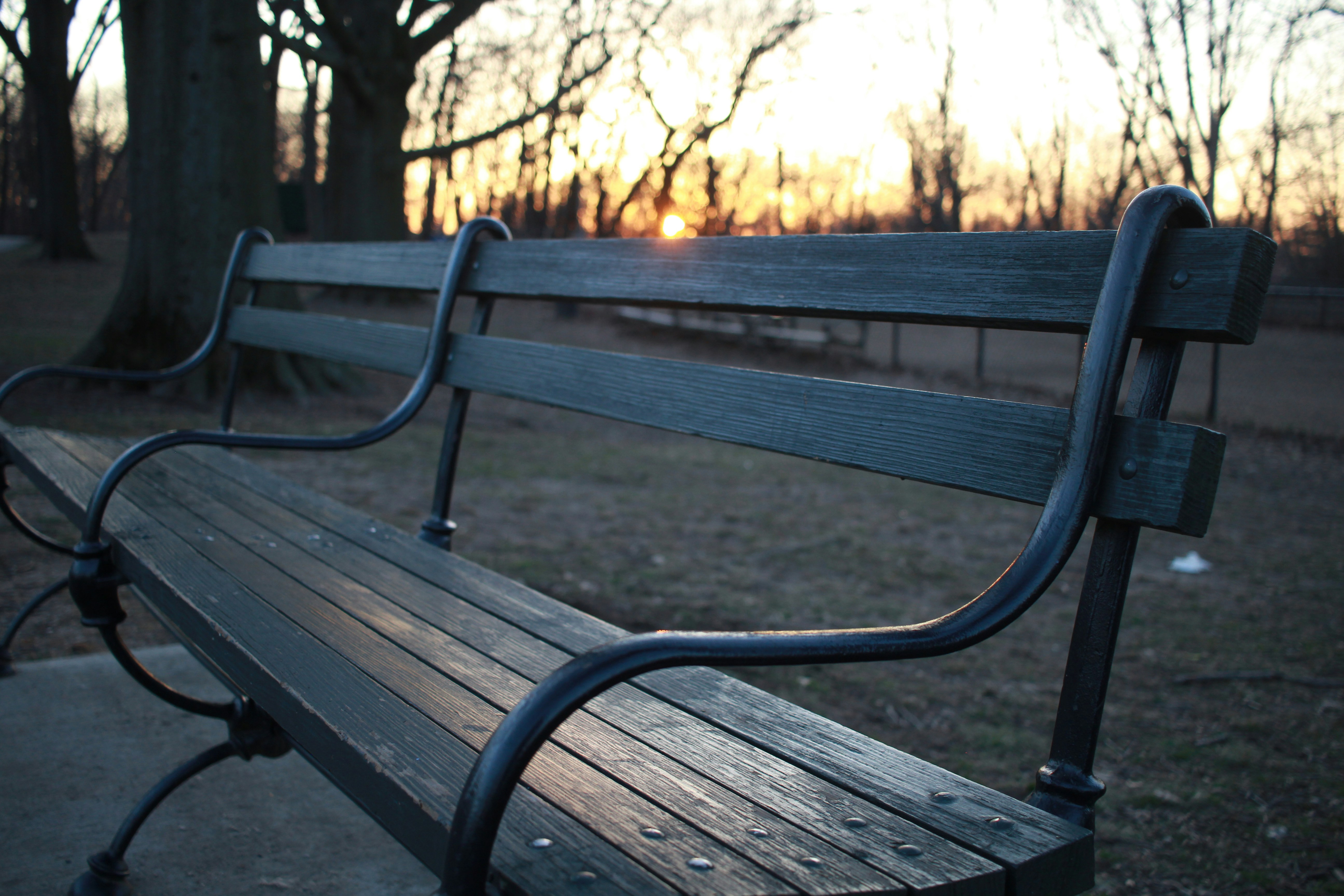 Nyc parks.jpg