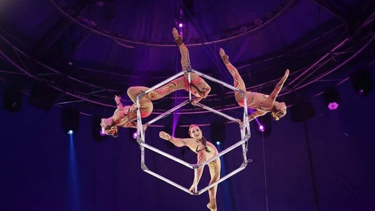 Circus Shows.jpg